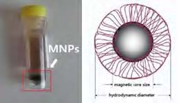 자성 나노 입자 (magnetic nanoparticles)