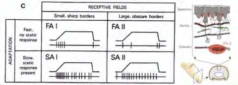 Impulse discharge of each sensor type