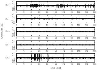 Recorded signal (region 2)