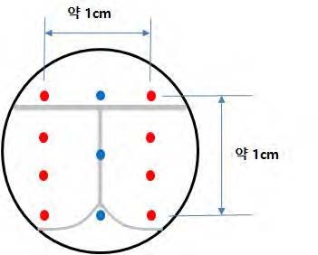 Source / Detector 배치