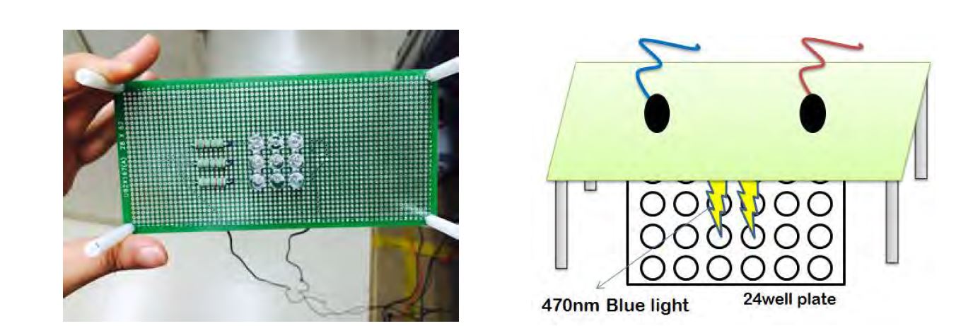 LED 기판 및 설치 모식도