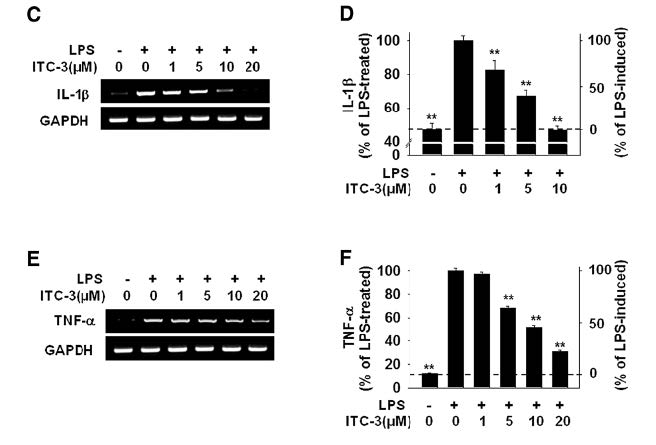 ITC-3 suppresses production of proinflammatory mwdiators in activated microglia. BV-2 cells were treated with LPS (0.2 ug/ml) alone or with various concentrations of ITC-3