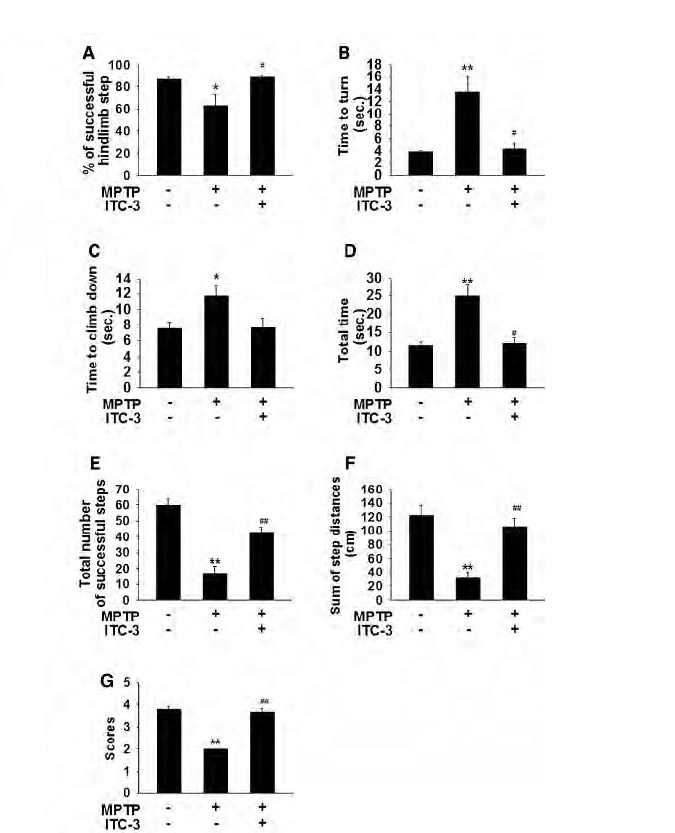 ITC-3 abolishes behavioral deficits in the PD animal model