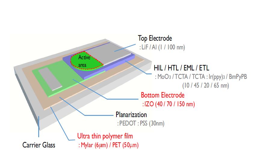초박막 플라스틱 필름 위에 제작된 유기물발광다이오드 (OLED)