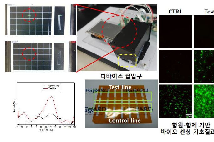 그림 20. 형광과 필름 기반의 미세유체 장치와 장치내 미세구조물과 항원-항체 반응을 통한 바이오 센싱 구현 결과물