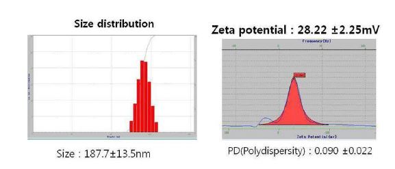 그림 130. 리포좀의 크기 및 zeta-potential 측정