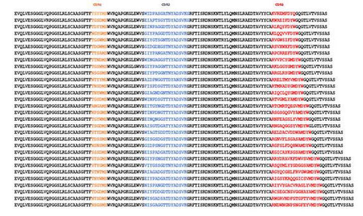 그림 45. human synthetic phage display Fab library의 HCDR 다양성