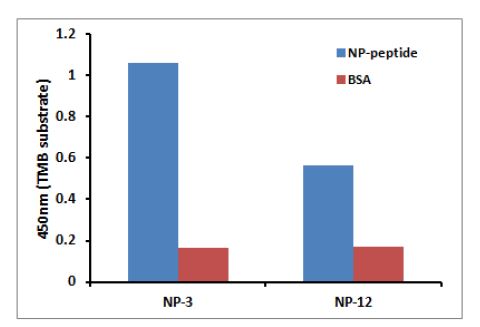 그림 46. bio-panning으로부터 NP에 선택적으로 결합하는 항체 clone선발