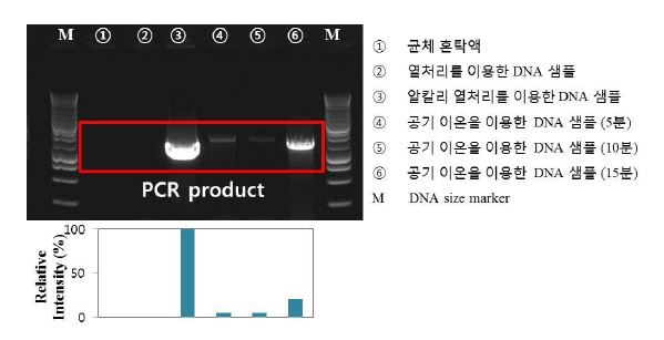 그림 76. 미생물 용해 방법에 따른 PCR 결과