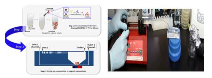그림 77. Microfluidic detection system (μFDS)