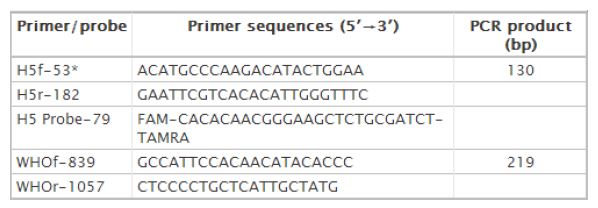 그림 79. H5형 인플루엔자 hemagglutinin 타켓 WHO 프로토콜 PCR primer