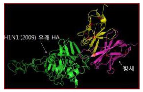 그림 105. 항체 단백질 재설계를 통한 표면 전하 증가(변이 가능한 아미노산, 적색)