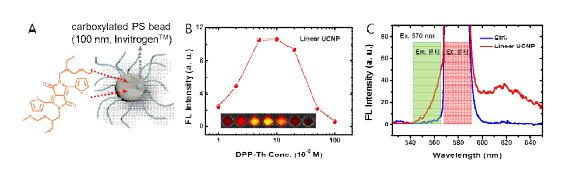 그림 117. DPP-Th 담지 나노비드의 모식도 (A), 담지 농도에 따른 선형 업컨버젼 형광세기 (B) 및 선형 업컨버전 형광 스펙트럼 (C)