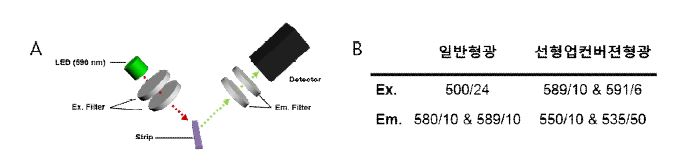 그림 118. 선형 업컨버젼 형광 측정 시스템 모식도 (A) 및 광학필터 최적화 조건 (B)