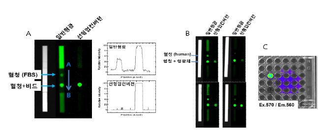 그림 119. 혈청 및 혈액 상에서의 선형 업컨버젼 형광의 검출신호: FBS (A), human serum (B) 및 쥐 혈액 (C)