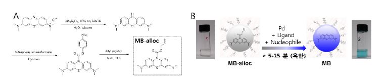 그림 121. MB-alloc 발색신호화 단량체 합성 (A) 및 palladium 매개 발색반응 증폭반응 모식도 (B