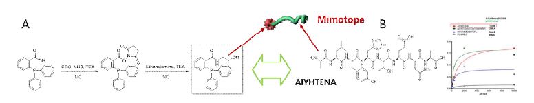 그림 122. 펩타이드 접합용 리간드 합성 모식도 (A) 및 선별된 mimotope 펩타이드 시퀀스 (B)