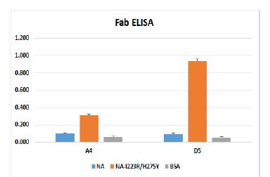 그림 8. 약물저항성 바이러스 특이적 항체 후보군의 Fab ELISA (A4, D5)와 phage ELISA (4F1)
