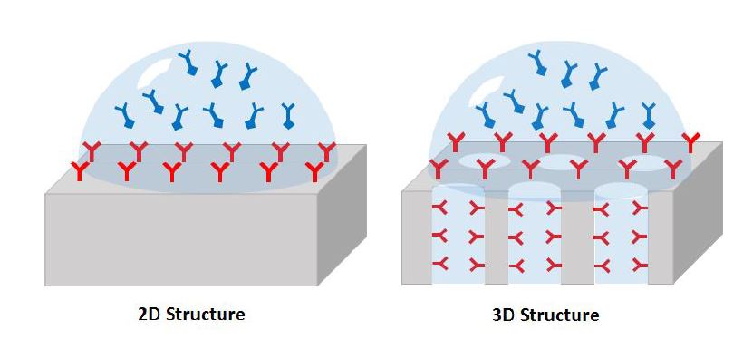 그림 3-1-1. 광학식 바이오 센서용 2D(좌) 및 3D(우) 구조체 모식도