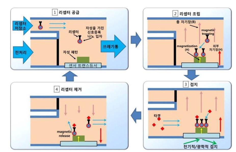 그림 3-1-3. 자성 나노 입자를 활용한 재사용 가능한 바이오 센서 구조 디자인