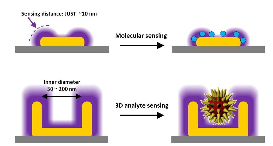 그림 3-3-1. Molecular sensing을 위한 2D LSPR 센서와 3D analyte sensing을 위한 3D LSPR 센서의 개념도.