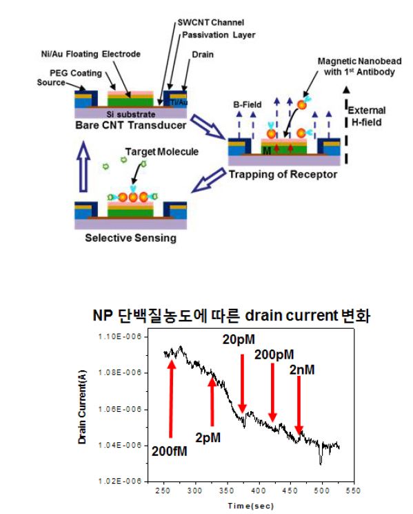 그림 3-5-3. 자성 나노입자를 이용한 재사용이 가능한 CNT기반 바이오 센서를 이용해 NP 단백질을 검지한 결과.