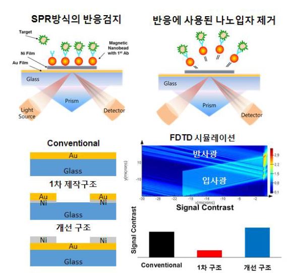 그림 3-5-4. 재사용이 가능한 SPR 센서의 모식도 및 simulation 결과.
