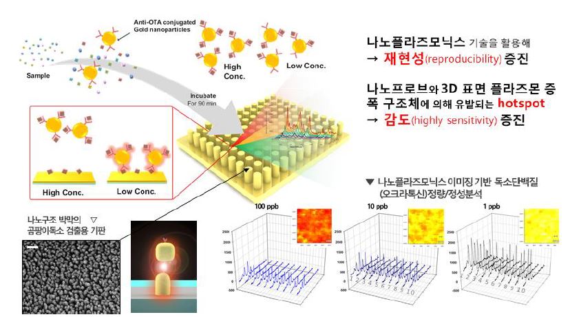 그림 3-7-3. 곰팡이 독소를 이용한 3D 금 나노구조체 면역분석 평가