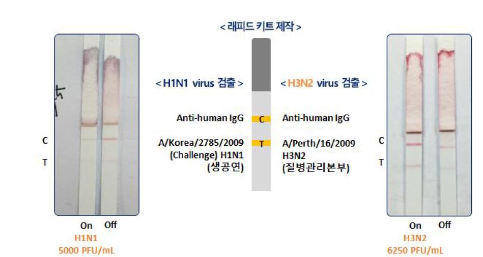 그림 3-8-7. H1N1, H3N2 나노플라즈모닉스 래피드 센서 제작 결과 및 On/Off 정량분석 결과