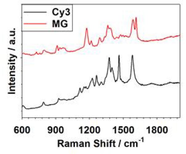 그림. 금속나노안테나가 어레이된 금나노구조체를 사용하여 측정한 Cy3 염료와 malachite green (MG) 염료의 라만 스펙트럼