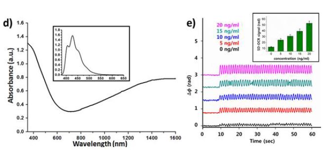 그림. d) 황화구리 나노플레이트의 형광과 흡광 그래프. e)황화구리 나노입자의 photothermal responses.