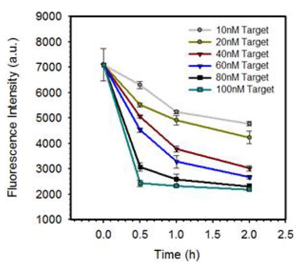 그림. 분자-광학지퍼를 활용하여 10 nM 의 SARS 바이러스의 프라이머를 1시간 내 검출
