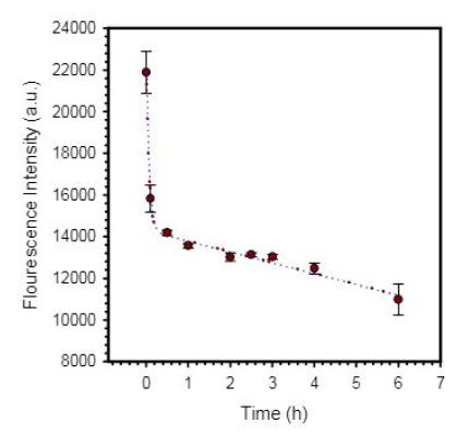 그림. 시간에 따른 바이러스 핵산의 검지 효율