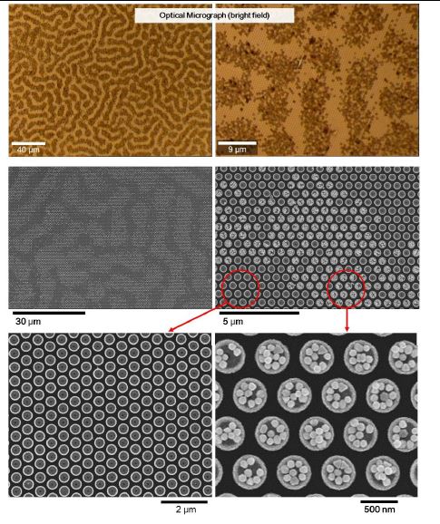 그림. Au nanoparticles/Au nanodish 하이브리드 구조체의 광학현미경 이미지(위)와 SEM 이미지(중간 및 아래).