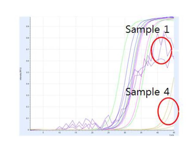 그림 3-1-8 PCR 장치에 먼지 미생물 혼합시료 유입 시 미생물 검출 영향