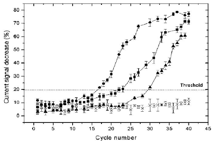 표적 DNA의 copy number (circle: 107, square: 105, triangle: 103, cross: 0) 에 따른 전기화학적 real-time PCR의 amplification curve.