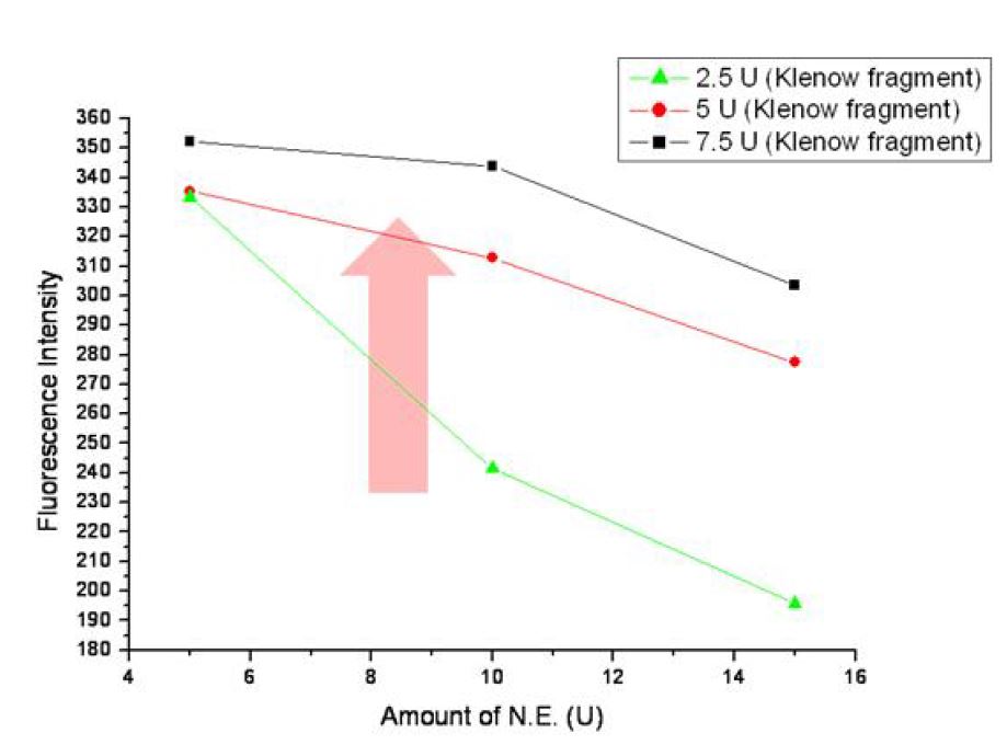 Klenow fragment 와 nicking enzyme 농도에 따른 NEIA 결과