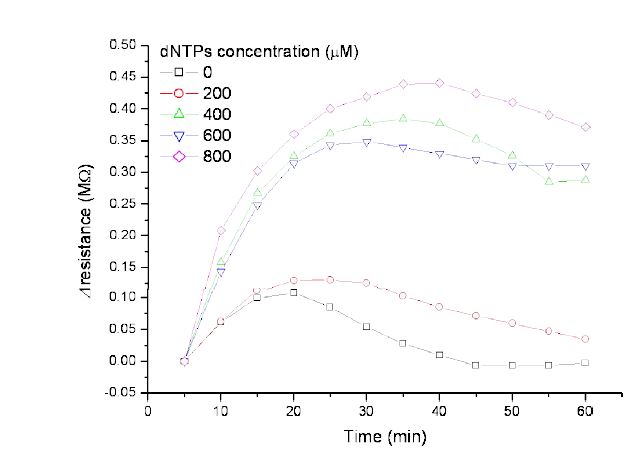 dNTPs 농도 변화에 따른 등온 핵산 증폭의 전기적 (저항) 신호 측정 결과