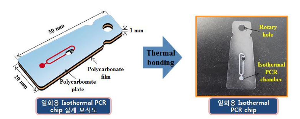 등온 PCR 마이크로칩 모식도 (좌) 및 실제 이미지 (우)