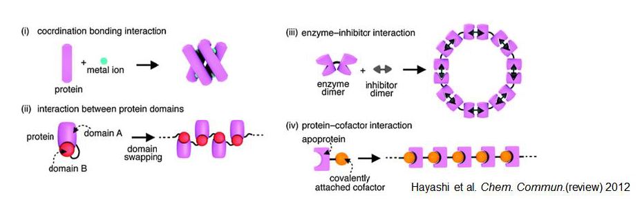 초분자 단백질 구조체 제작 전략