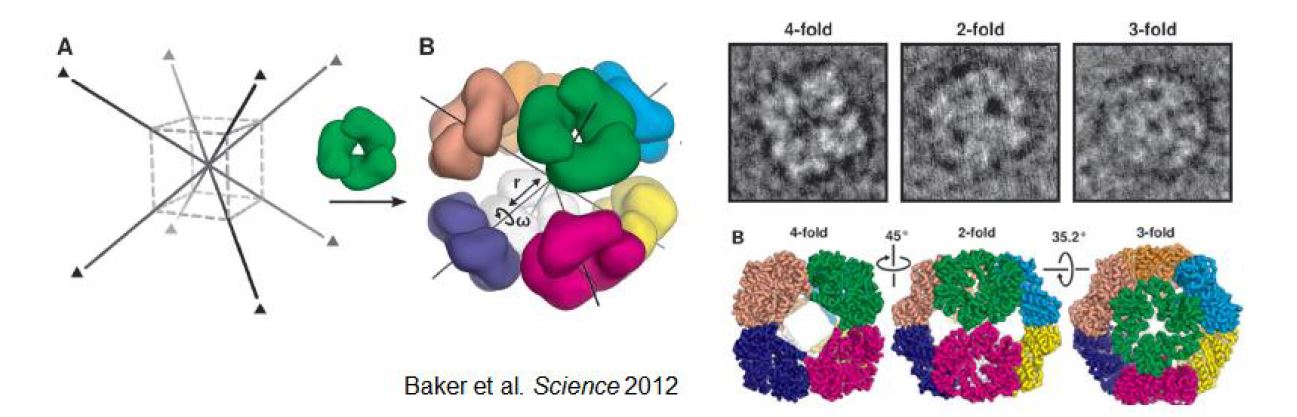 multimeric 단백질 도메인 디자인을 통한 초분자체 제작