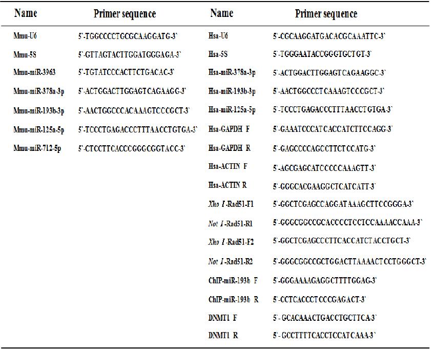 표 1. qRT-PCR 분석에 사용한 모든 프라이머