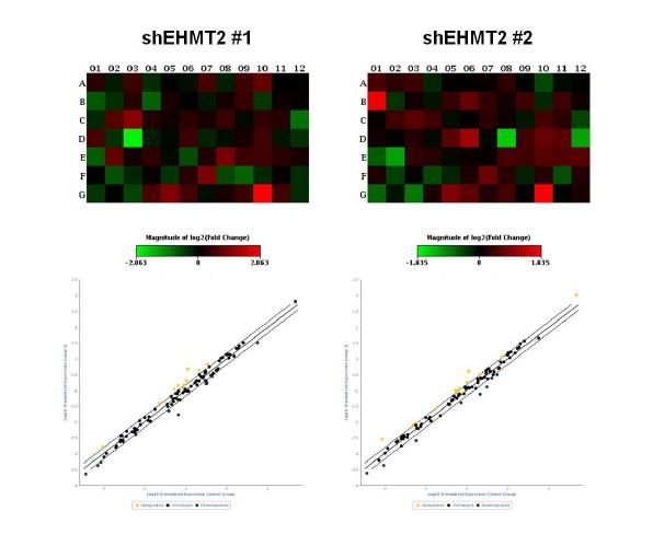 그림 5 대조군과 shG9a 세포에서의 microRNA 발현 분석