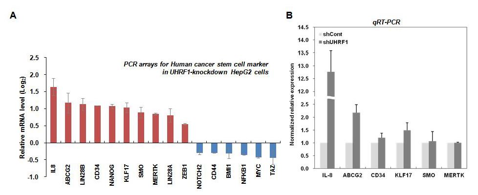 그림 1‐2. HepG2 세포에서 UHRF1이 down-regulation에 의한 종양줄기세포관련 새로운 marker 유전자 발현 유도