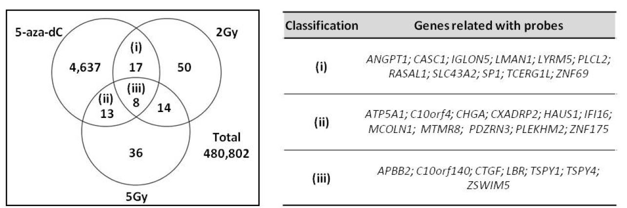 그림 6. 2 Gy, 5 Gy 조사한 대장암 세포주에서 hypomethylation 양상을 보이는 probe와 그에 해당하는 후보 유전자 발굴