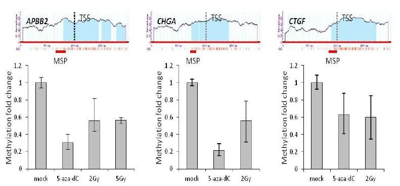 그림 10. 유전자(APBB2, CHGA, CTGF)의 promoter 영역을 도식화 하였으며 이 영역의 methylation level을 qMSP방법을 이용하여 정량함