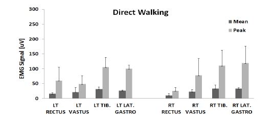 그림 163. 걷기 동작의 근전도 결과