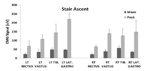 그림 164. 계단 오르기 동작의 근전도 결과