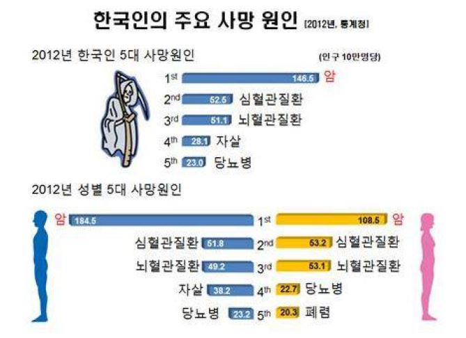 그림 204. 한국인의 주요 사망 원인(출처: 통계청, 2012)