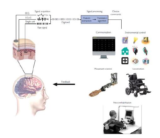 [그림 1] 뇌-기계 인터페이스의 모식도 (Shih JJ et al., 2012)
